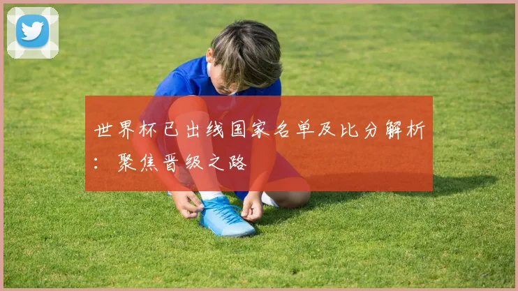 世界杯已出线国家名单及比分解析：聚焦晋级之路